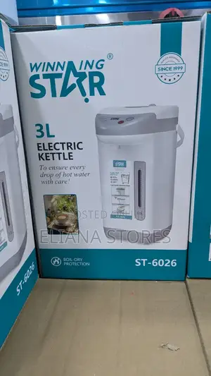 3l Winningstar Electric Kettle