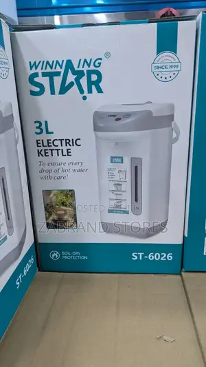 3l Winningstar Electric Kettle