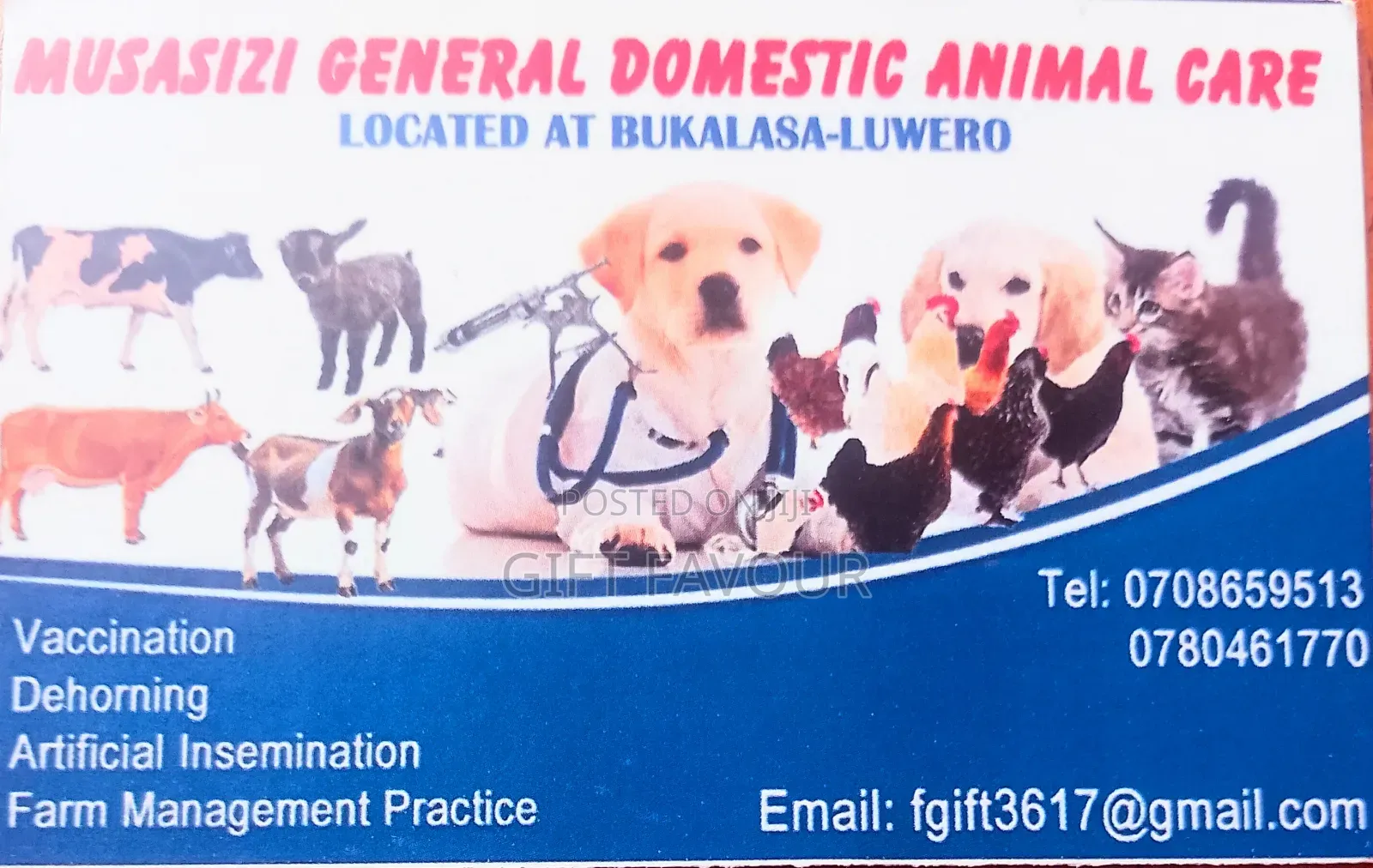 Animal Care