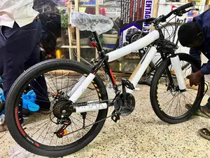 Black Mountain Bike With No Carrier