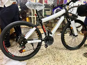 Black Mountain Bike With No Carrier