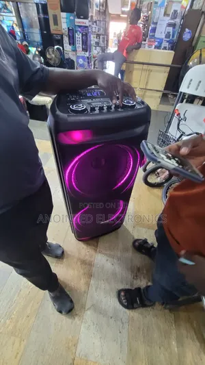 15nches Rechargeable Speaker