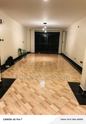 Move Like Cleaning Services