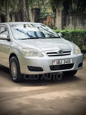 Toyota Allex 2006 Silver