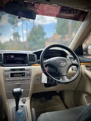 Toyota Allex 2006 Silver