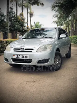 Toyota Allex 2006 Silver