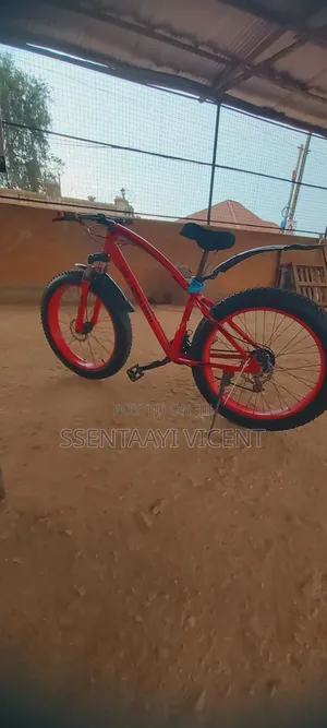 Big Tire Bike