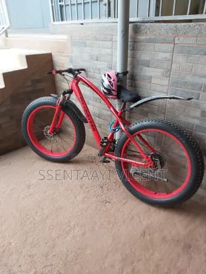 Big Tire Bike