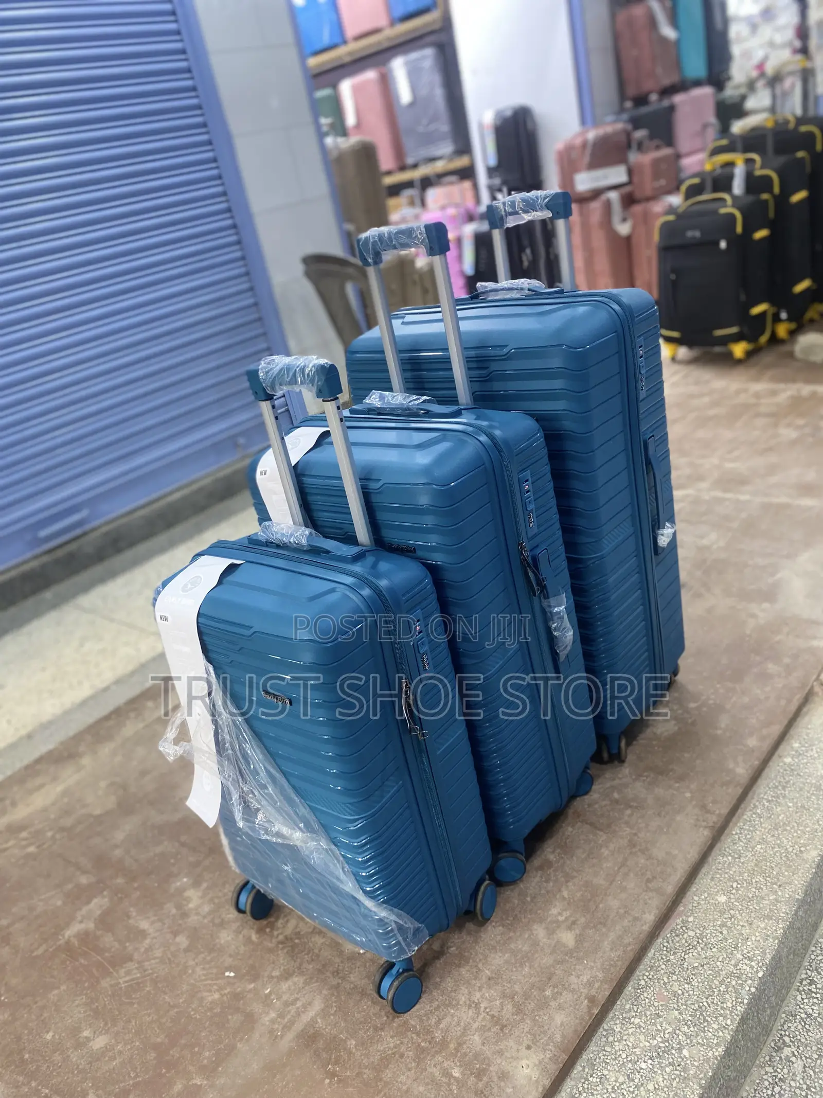 Early Bird Suitcase