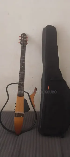 Acoustic Guitar Amplified