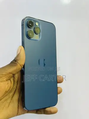 Apple iPhone 12 Pro Max 256 GB Blue