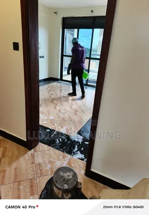 Professional Cleaning Serviservices