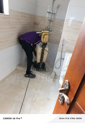 Professional Cleaning Serviservices