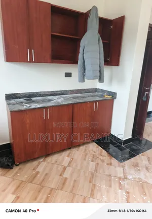 Professional Cleaning Serviservices