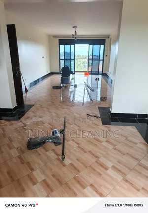 Professional Cleaning Serviservices