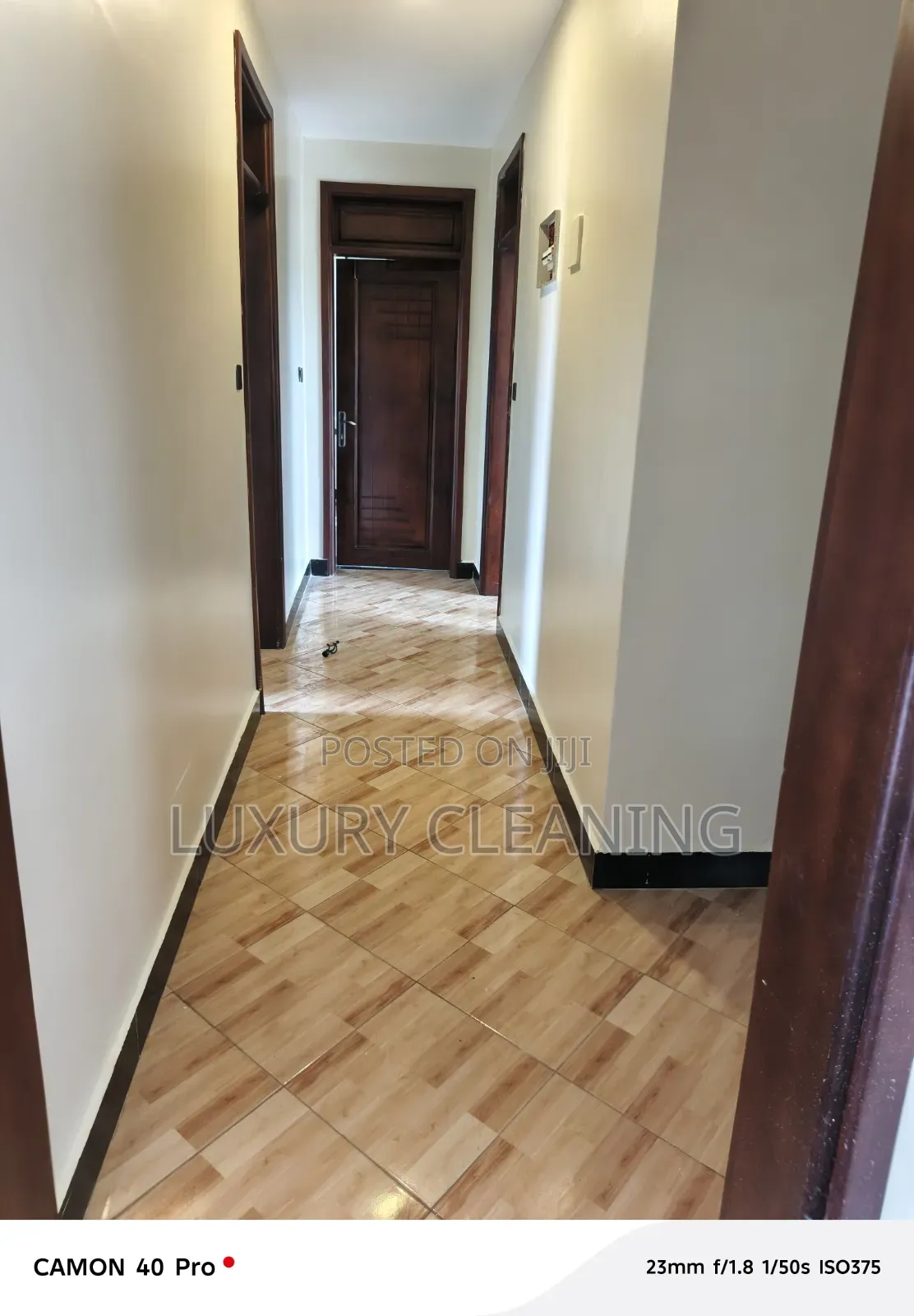 Professional Cleaning Serviservices