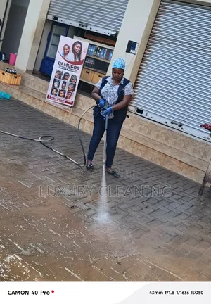 Pavers Cleaning