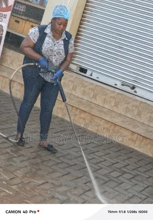 Pavers Cleaning