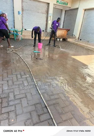 Pavers Cleaning
