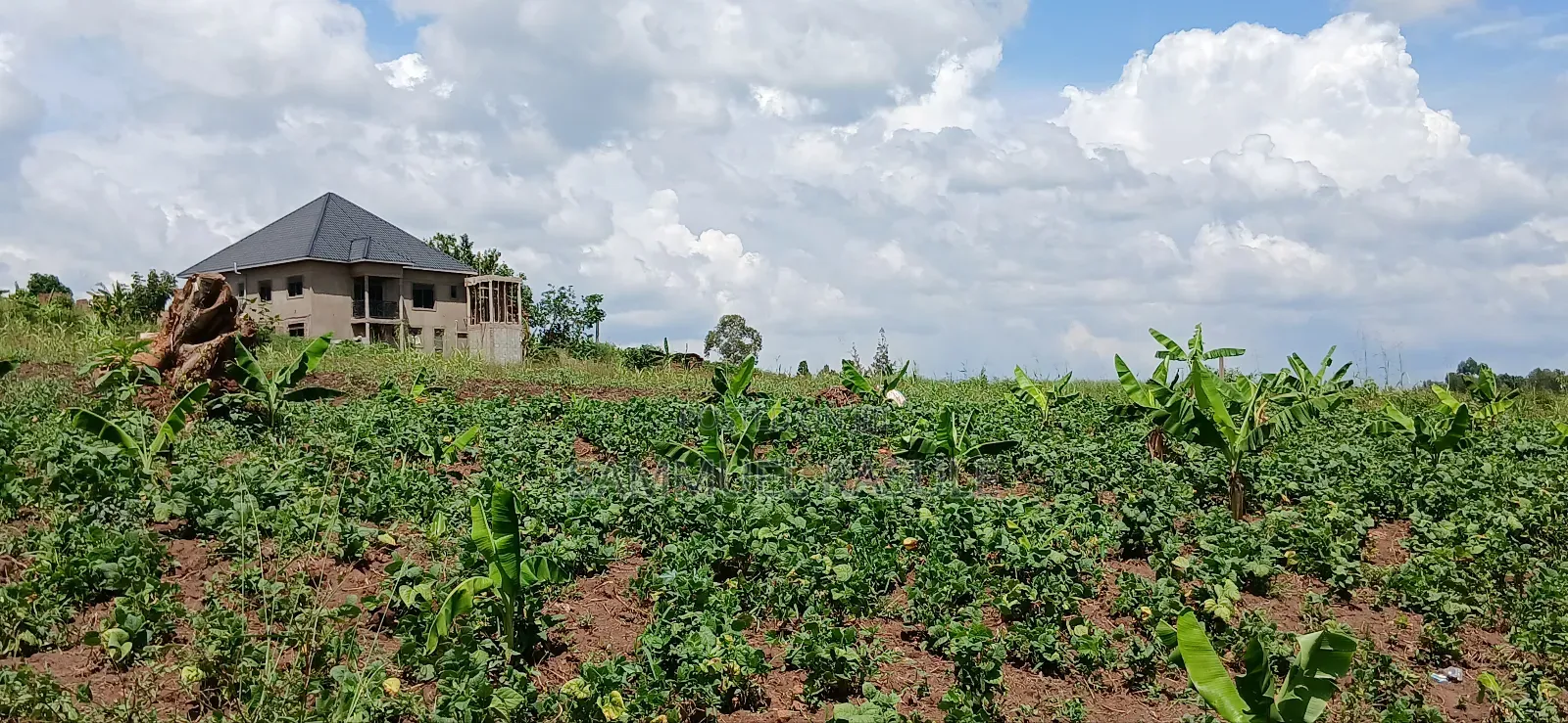 Mattugga Buwambo