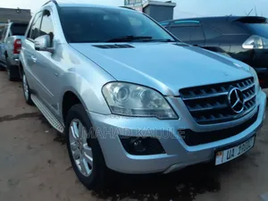 Mercedes-Benz M Class 2010 Silver