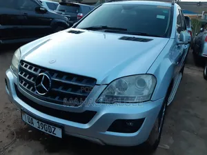 Mercedes-Benz M Class 2010 Silver