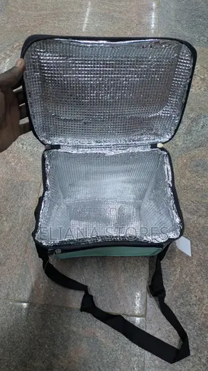 Portable Insulated Food Delivery Bag