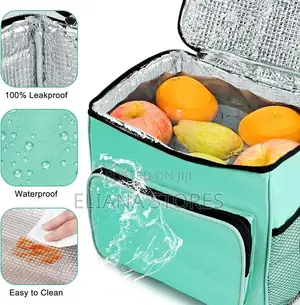 Portable Insulated Food Delivery Bag