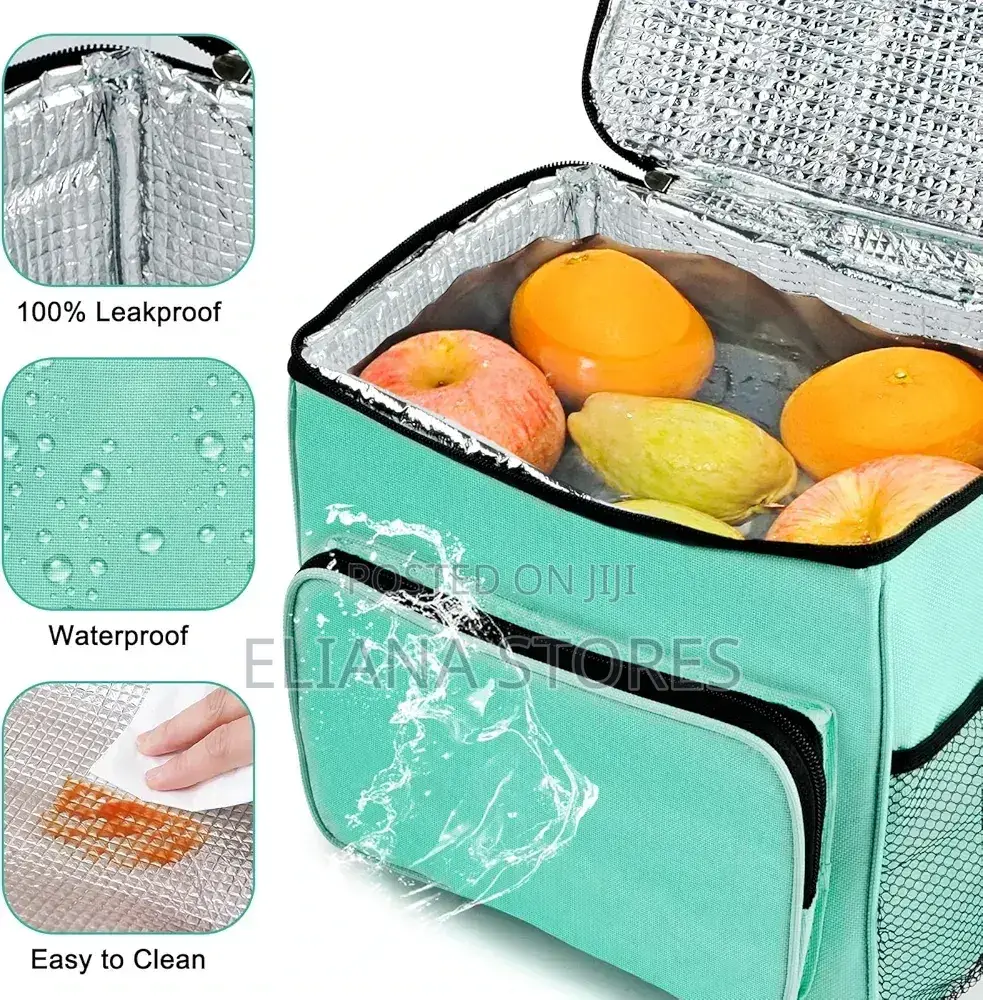 Portable Insulated Food Delivery Bag