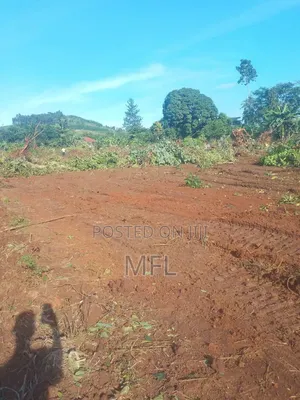 Namayumba Busamba Estate