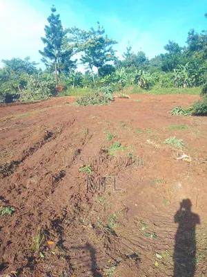 Namayumba Busamba Estate