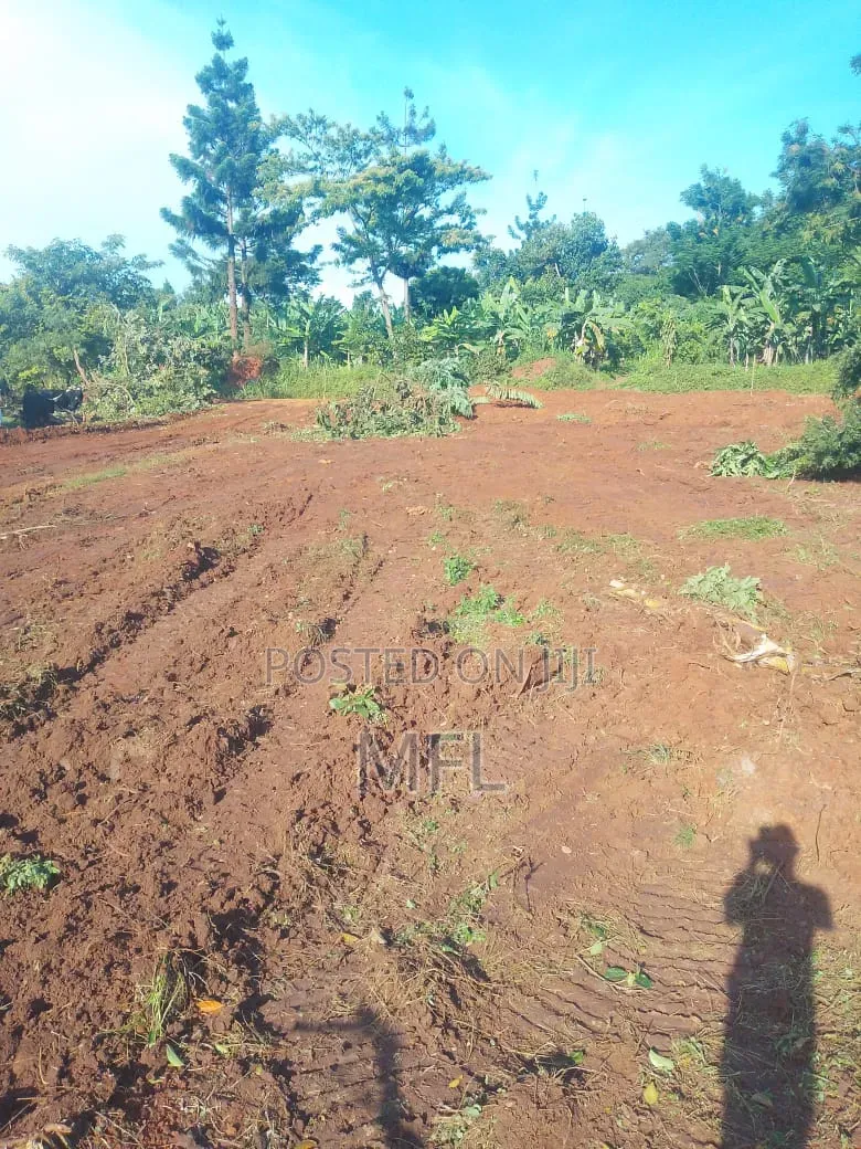 Namayumba Busamba Estate