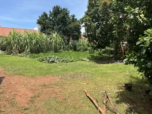 Land for Sale in Kiwaatule