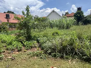 Land for Sale in Kiwaatule