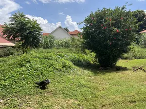 Land for Sale in Kiwaatule