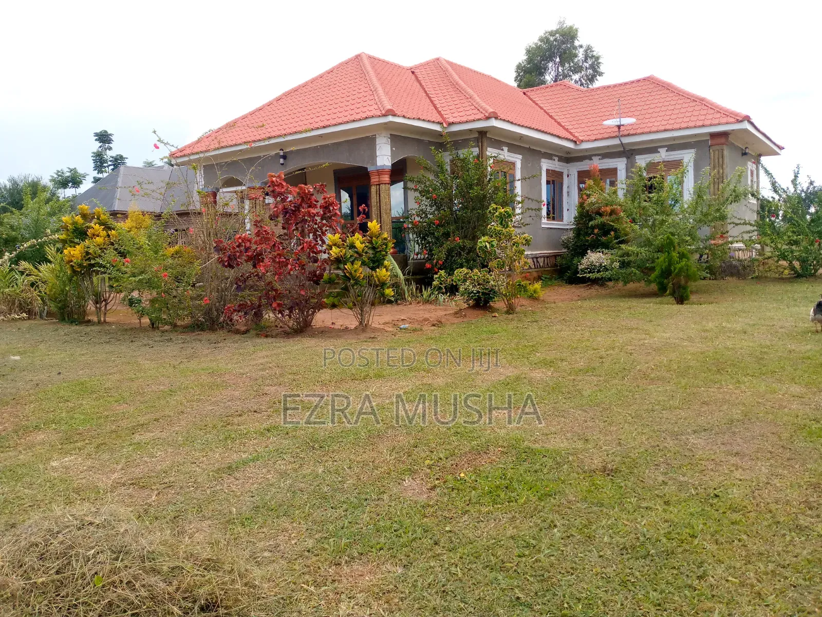 5bdrm Bungalow in Mbale for sale