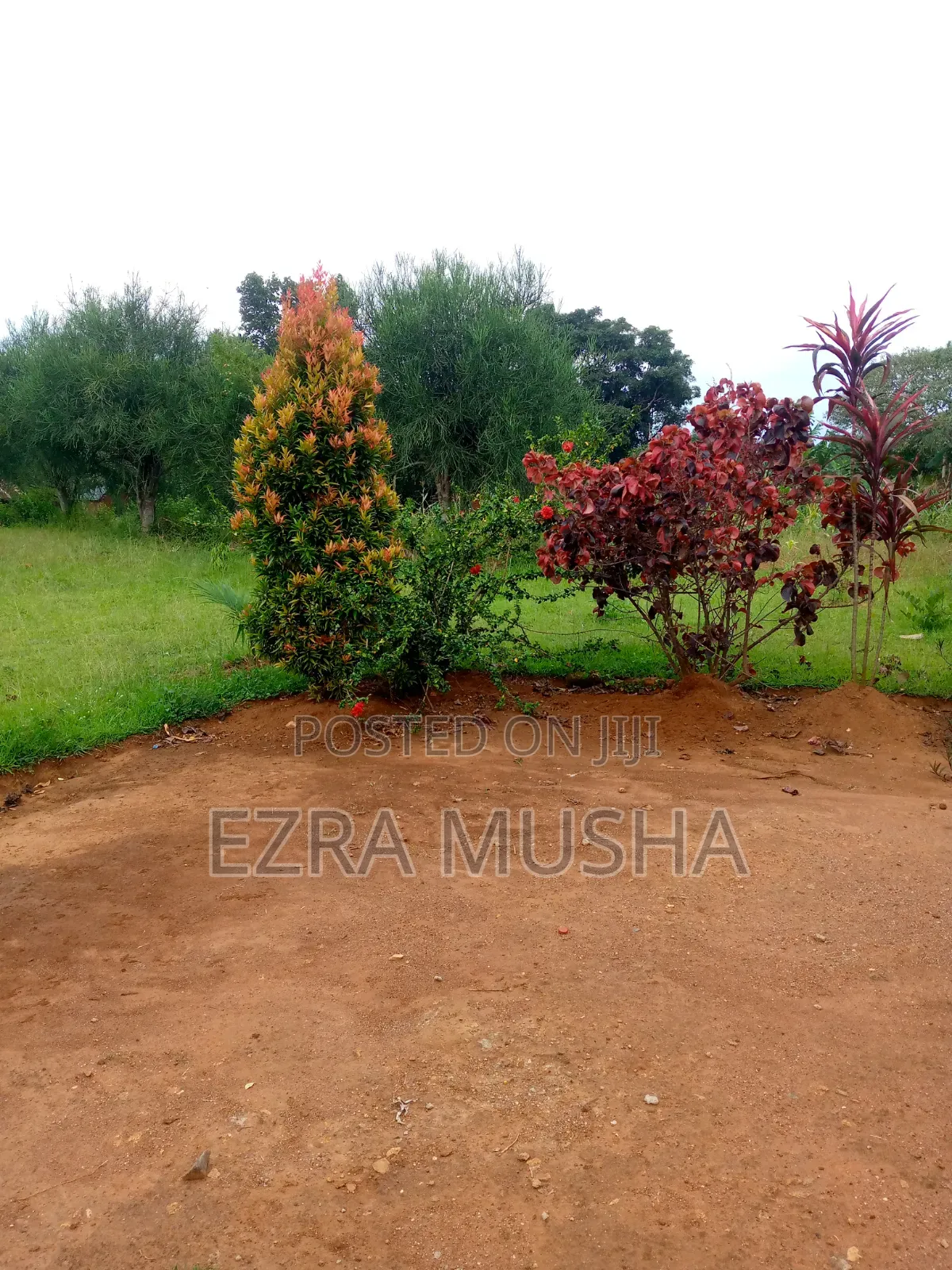 5bdrm Bungalow in Mbale for sale