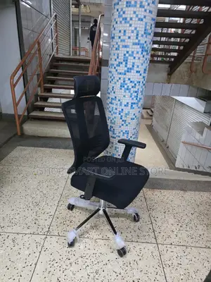 Blossom Ergonomic Office Chair Office Chair