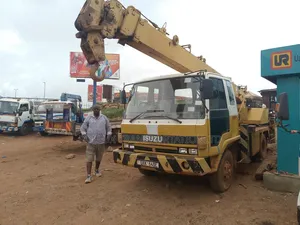 Bagger Cranes for Hire 8 Tonnes