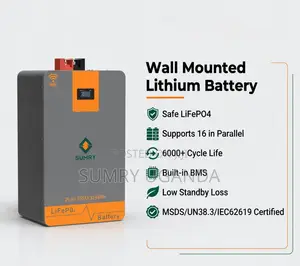Sumry Lifepo4 Solar Battery 6000+ Cycles