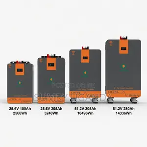 Sumry Lifepo4 Solar Battery 6000+ Cycles