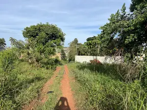 22.5 Decimals Private Mailo Land for Sale in Ssisa – Wakiso