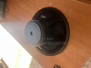 Naked Woofer Speaker and a 15 Inch