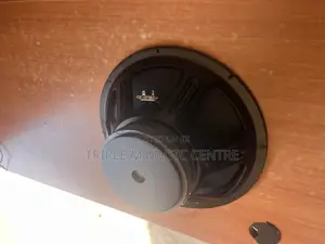Naked Woofer Speaker and a 15 Inch
