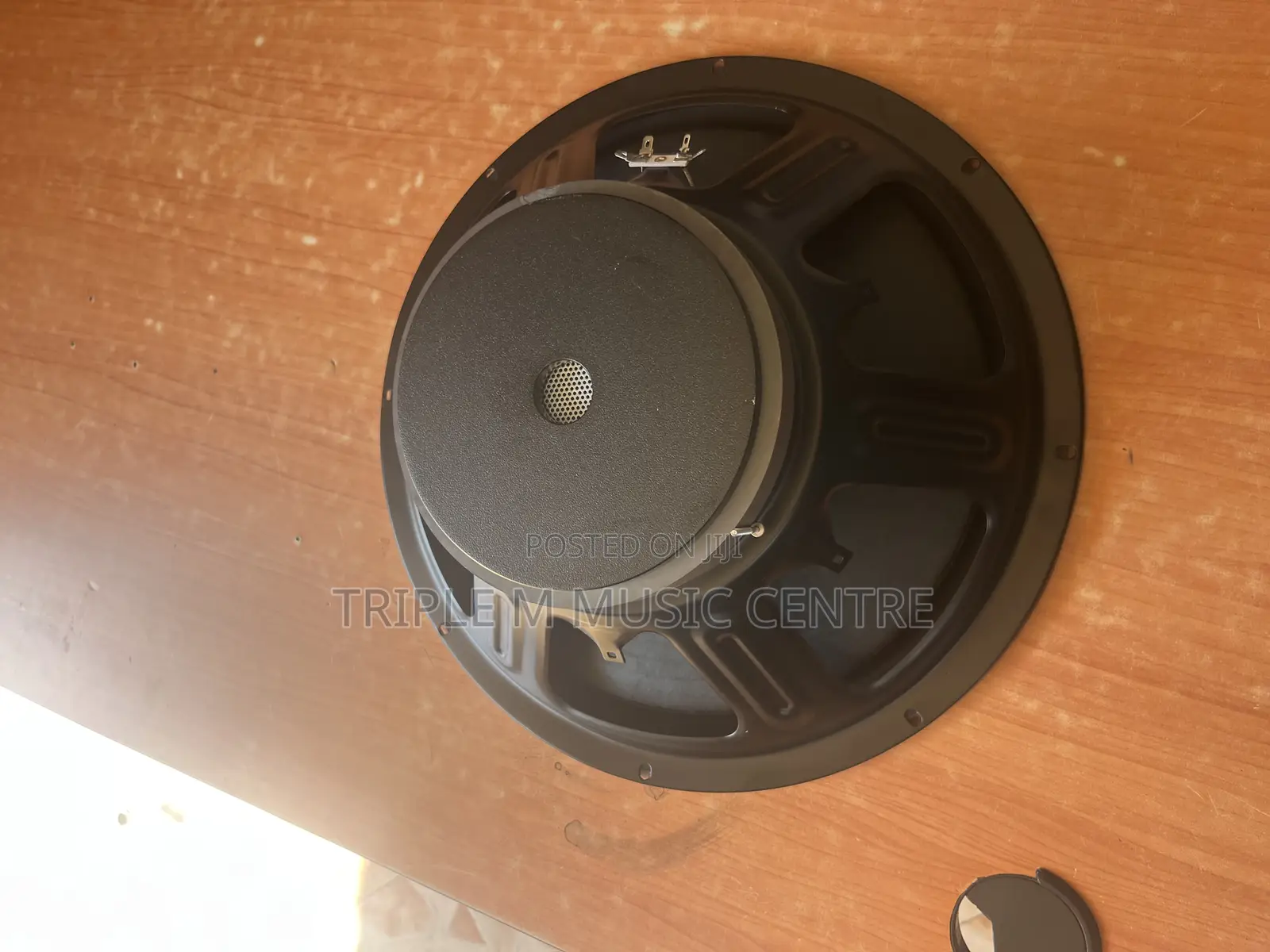 Naked Woofer Speaker and a 15 Inch