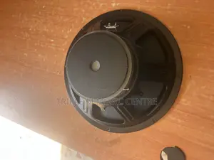 Naked Woofer Speaker and a 15 Inch