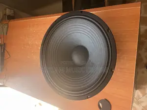 Naked Woofer Speaker and a 15 Inch