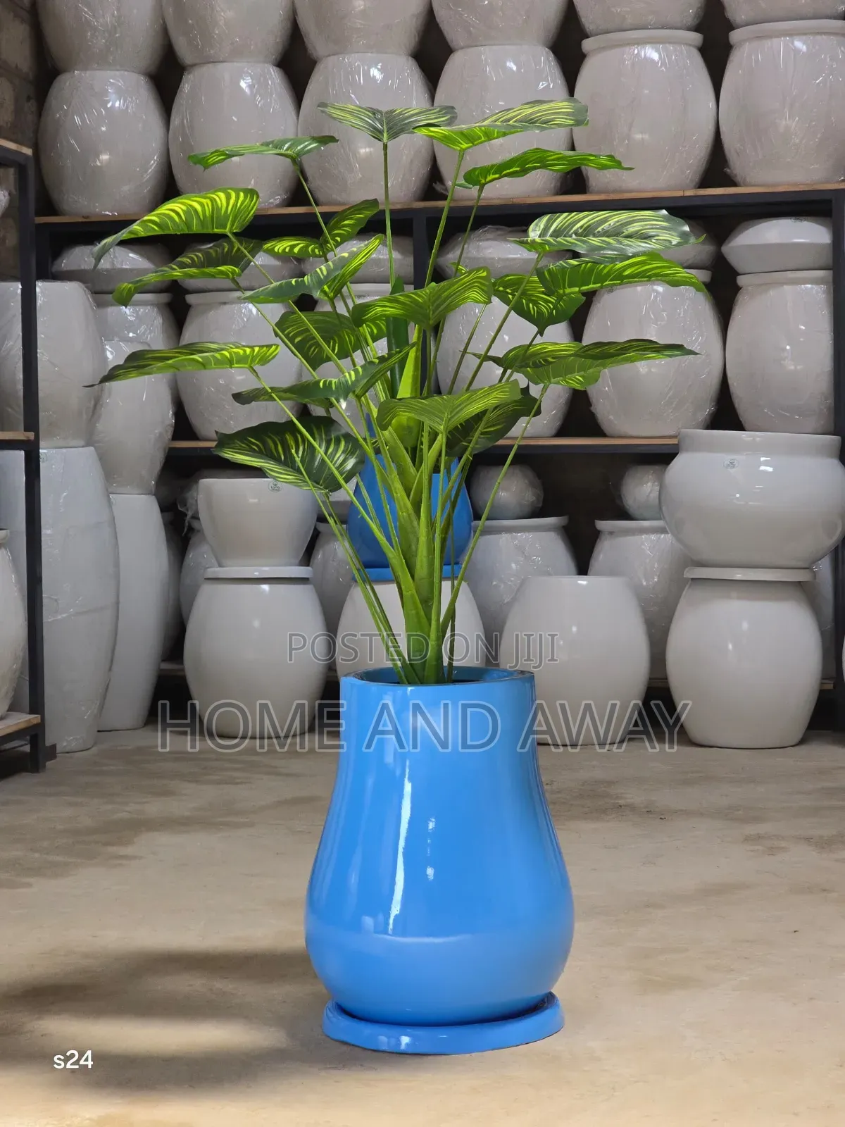 Flower Pots/All Types of Flowers Flower Pots From 150,000/-