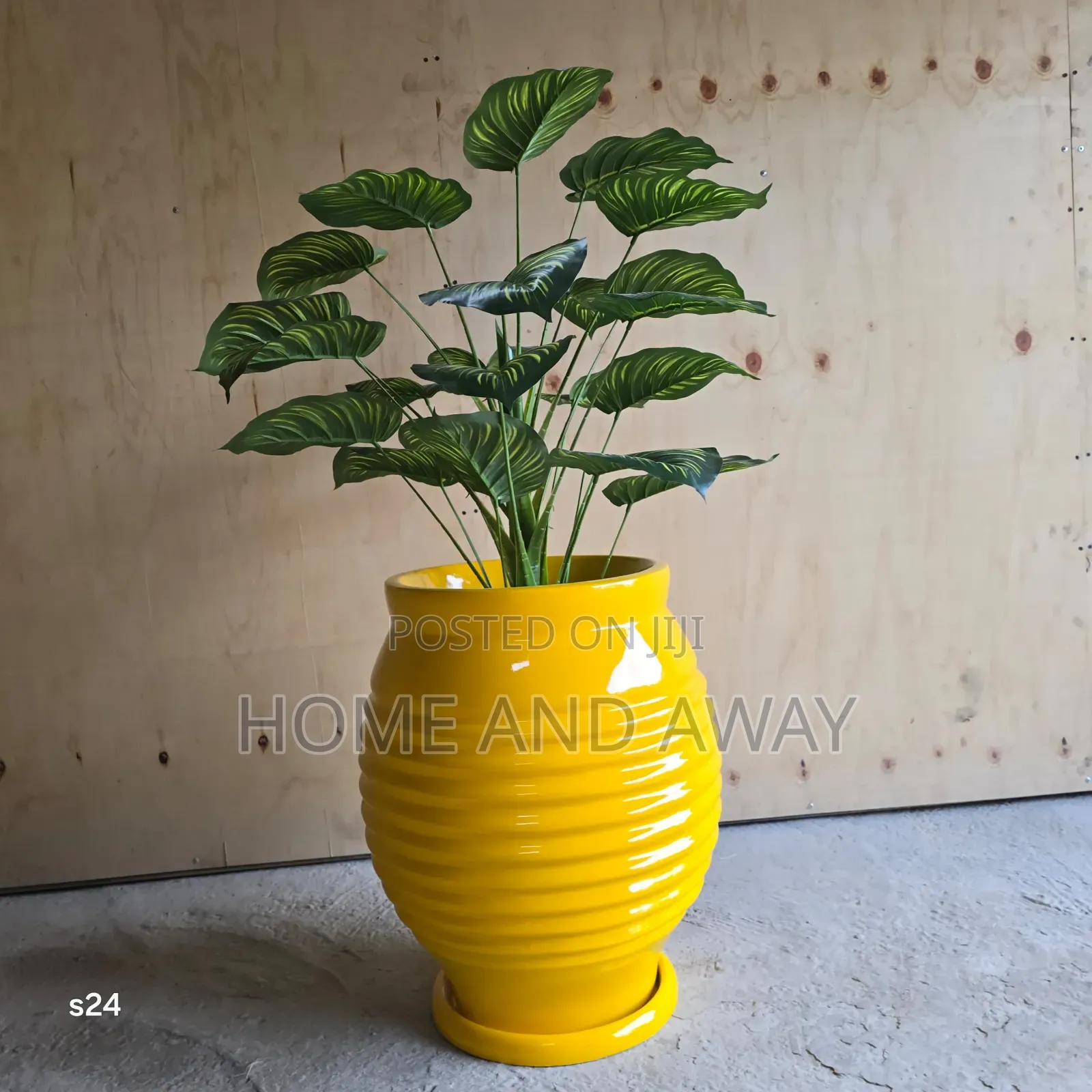 Flower Pots/All Types of Flowers Flower Pots From 150,000/-