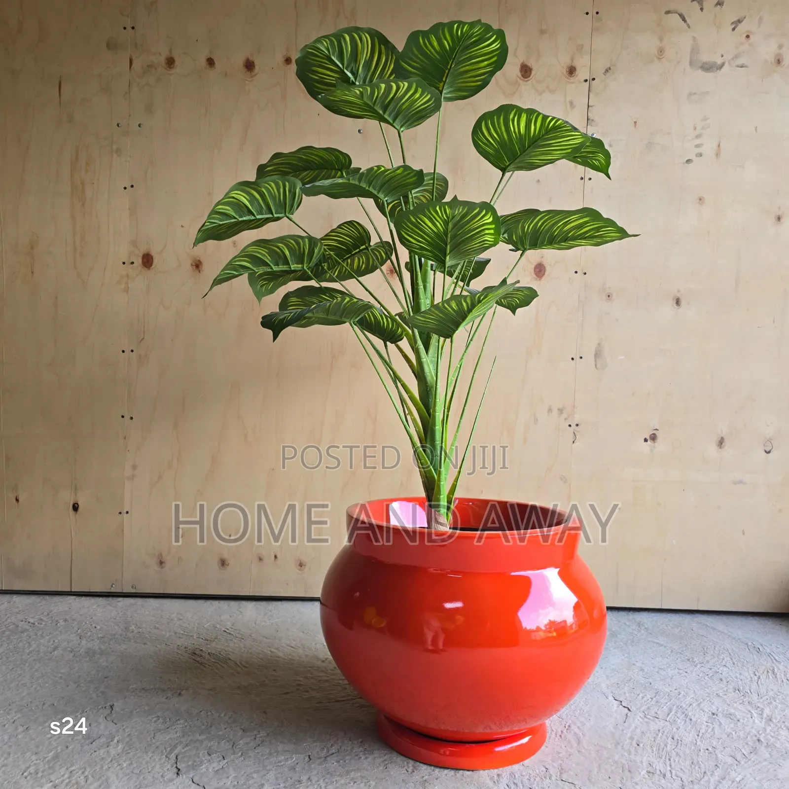 Flower Pots/All Types of Flowers Flower Pots From 150,000/-
